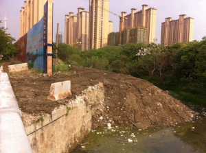 看不到河面? 原来河道被建筑垃圾填满